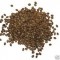 Ice Feminized Cannabis Seeds